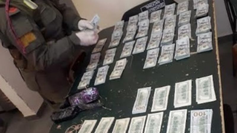 Ocultaban 63.000 dólares debajo de la alfombra