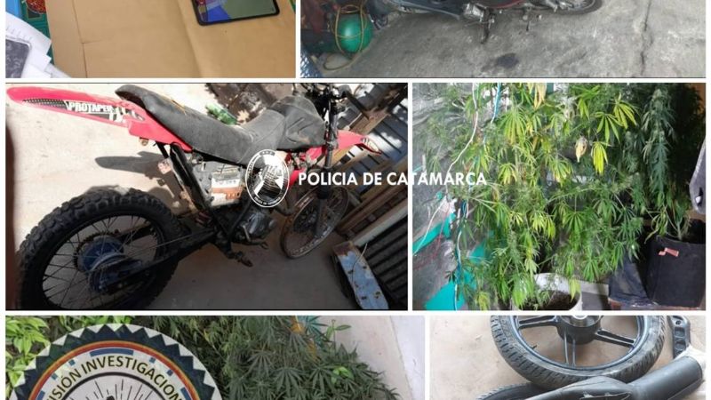 Encontraron motos, repuestos y plantines de marihuana