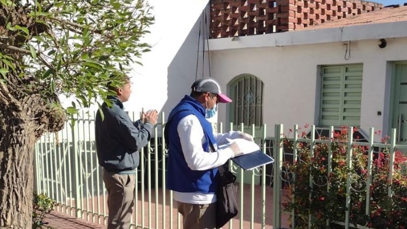 Dengue: cronograma semanal