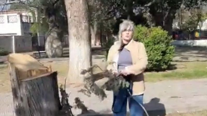 Vecinos se oponen a tala de árboles