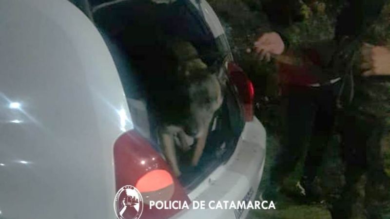 Secuestraron veinticuatro dosis de LSD en El Rodeo