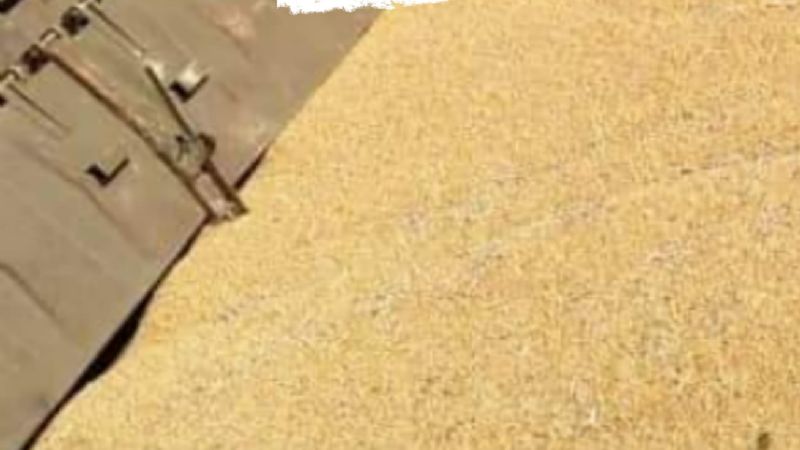 Descarriló un tren en Recreo