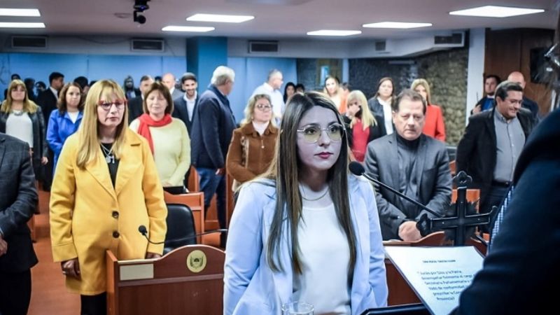 Asunción en la Cámara de Diputados