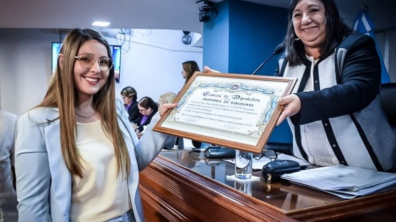 Asunción en la Cámara de Diputados
