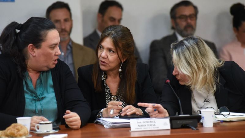 Ley de humedales: escucharán a los gobernadores