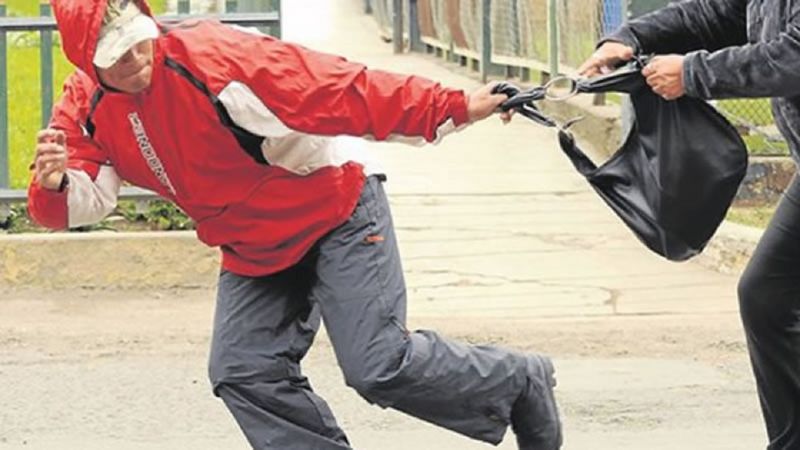 Robó una cartera y terminó detenido