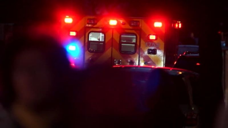 Embistió a un niño de 10 años de edad, mientras intentaba cruzar la calzada