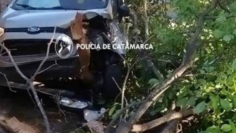 Conducía alcoholizado, chocó contra un árbol y le quitaron el auto