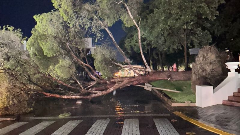 Las fotos del desastre