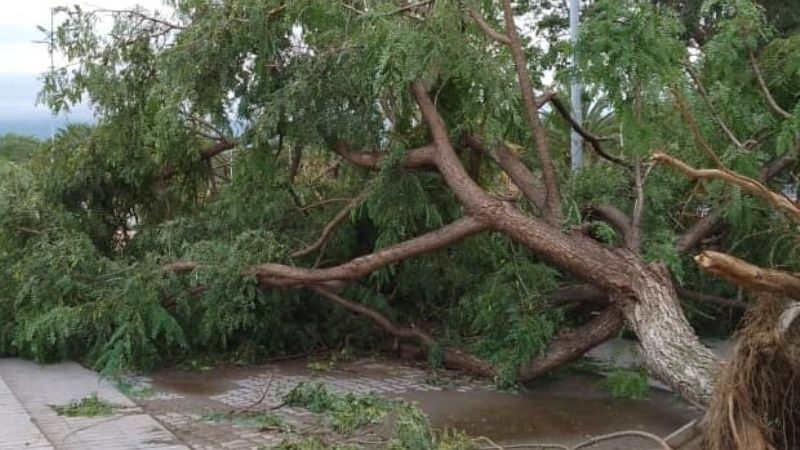 Las fotos del desastre