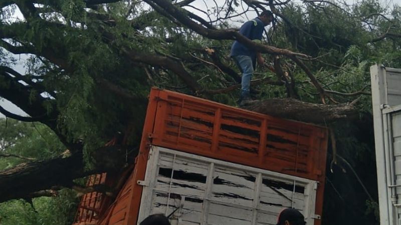Las fotos del desastre