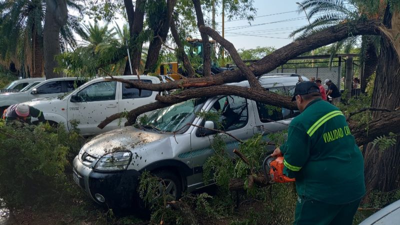 Las fotos del desastre