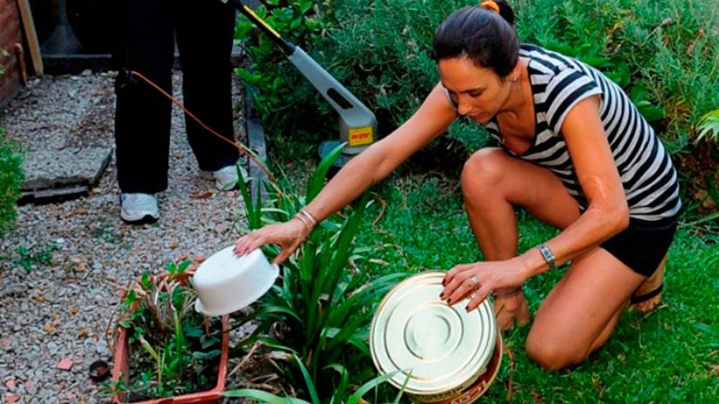 Recomendaciones para evitar el Dengue