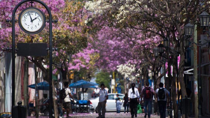Detuvieron en pleno centro a una mujer que intentó robar en un local comercial