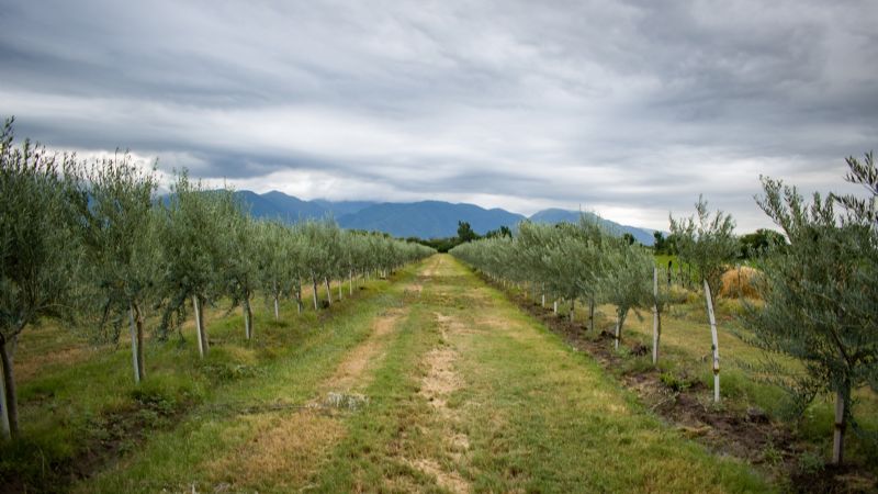 Raúl y el secretario Neme entregaron aportes para el desarrollo productivo en Colonia del Valle