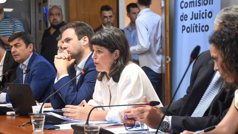 Ginocchio sobre el juicio político a la Corte: “Los jueces no pueden arrogarse el papel de legisladores”