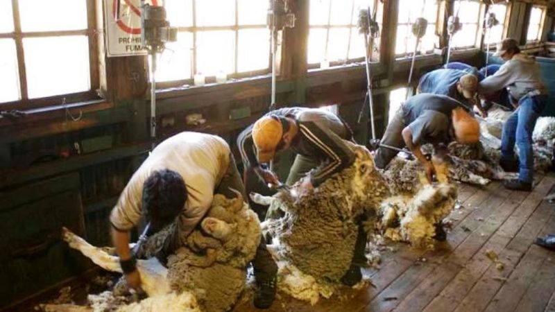 Oficializan bono extraordinario de $ 50.000 para trabajadores rurales