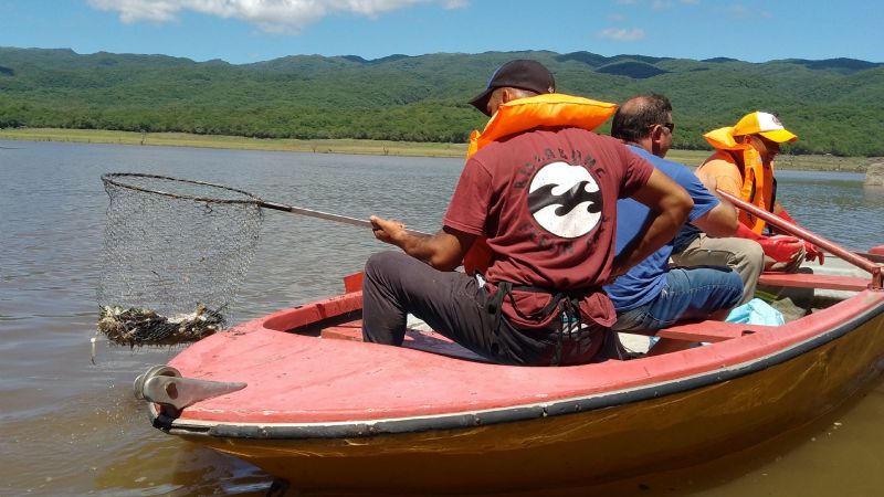 Recogieron cerca de 8 mil peces muertos del dique La Cañada