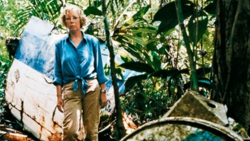 Sobrevivió a la caída de un avión desde 3.000 metros y aguantó 12 días sola en la selva