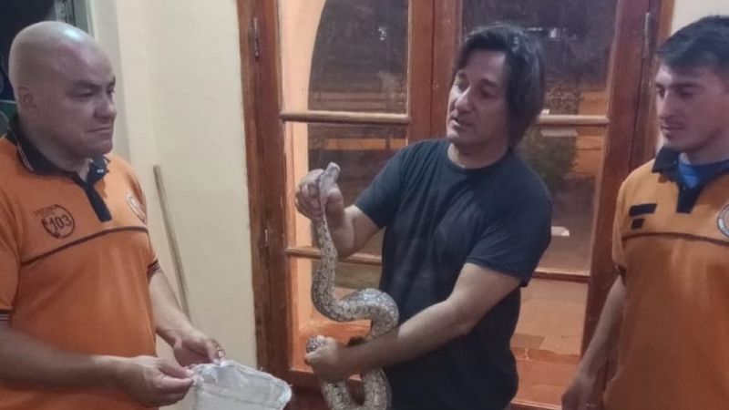 Rescatan una lampalagua