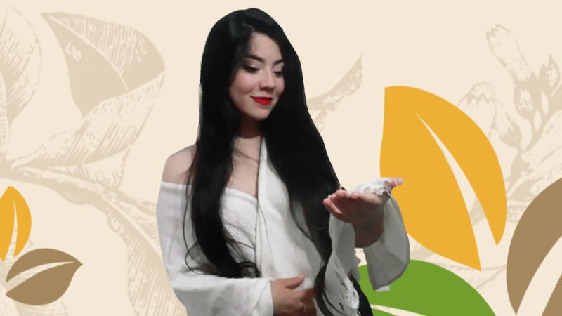 Los Tekis y Nicolás Reina, encabezan la cartelera del Festival del Tabaco