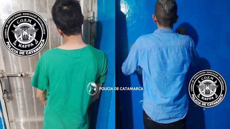 Dos hermanos a las piñas