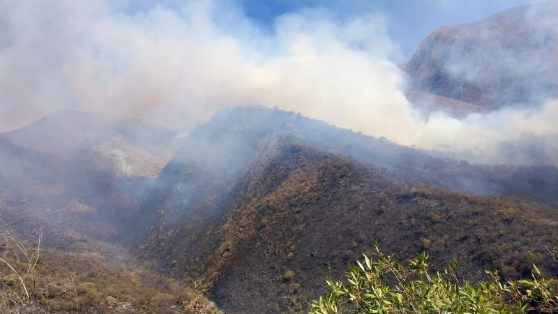 El viento complica las tareas para contener el incendio