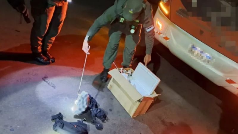 Gendarmes hallan animales exóticos en la cabina de un micro