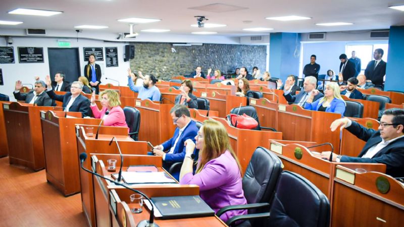 Iniciativa para garantizar un abordaje Integral sobre la Pubertad Precoz Central