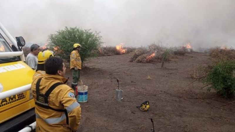 Harán quema controlada de pastizales en Ruta Provincial N°33