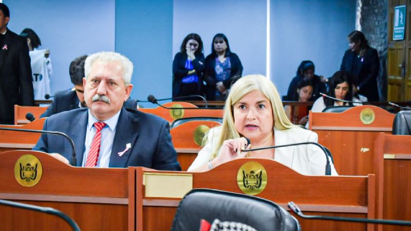 Destacan el Día Provincial de la Salud Mental a fin de crear conciencia