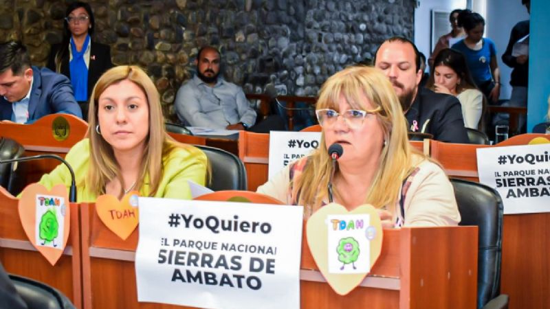 Protección integral de las infancias y adolescencias con trastornos del neurodesarrollo en las escuelas