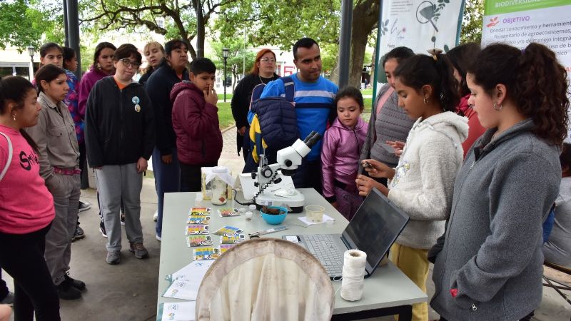 La Semana de la Ciencia y la Tecnología también se vive en la Plaza