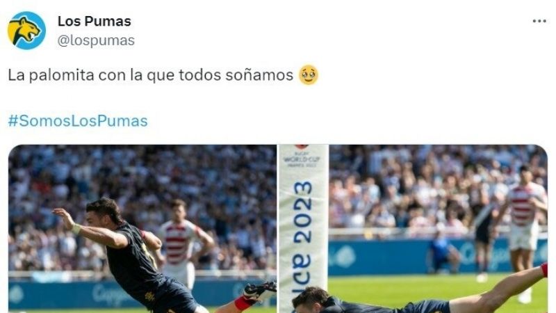 Los Pumas están en los 4tos. del Mundial