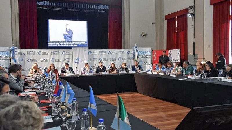 Convocatoria pública de ONG´s para integrar el Consejo Federal de Discapacidad