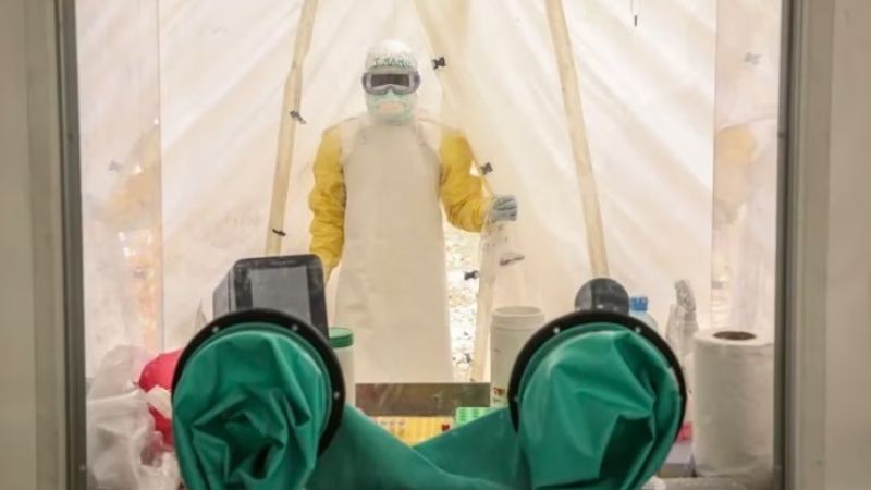 Qué se sabe sobre el virus de Marburgo a medida que surge un nuevo brote