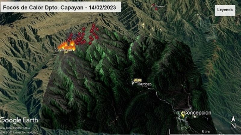 Incendio forestal cerca de Concepción