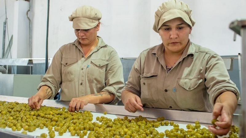 Empresa catamarqueña amplía su producción y genera más trabajo