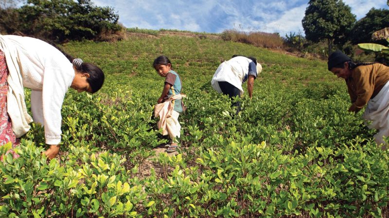 Hijos de trabajadores rurales ya cuentan con sus guarderías
