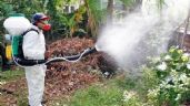 Preocupación por el avance del dengue en el Este