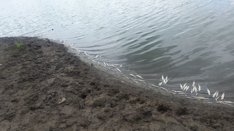 Medio Ambiente vedó el Dique Sumampa para la pesca deportiva