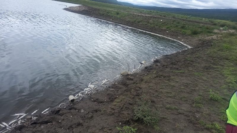 Medio Ambiente vedó el Dique Sumampa para la pesca deportiva
