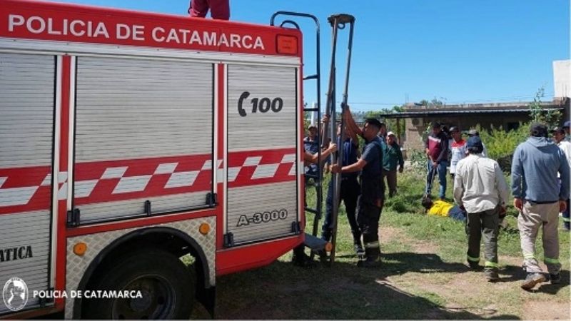 Dramático rescate de un caballo que cayó a una fosa