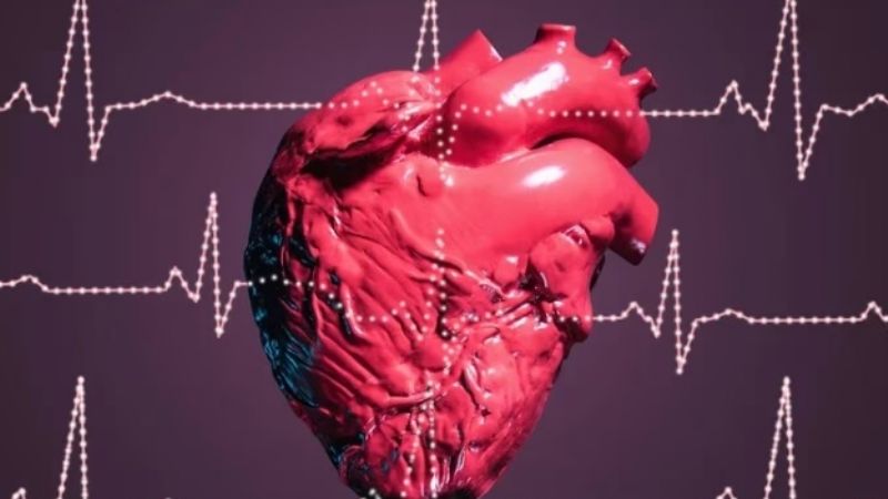 Descubrieron cómo el COVID-19 daña las células del corazón y afecta el ritmo de los latidos