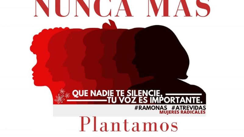 "No más abusadores al poder"