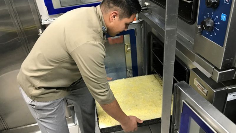 Catamarqueño antártico