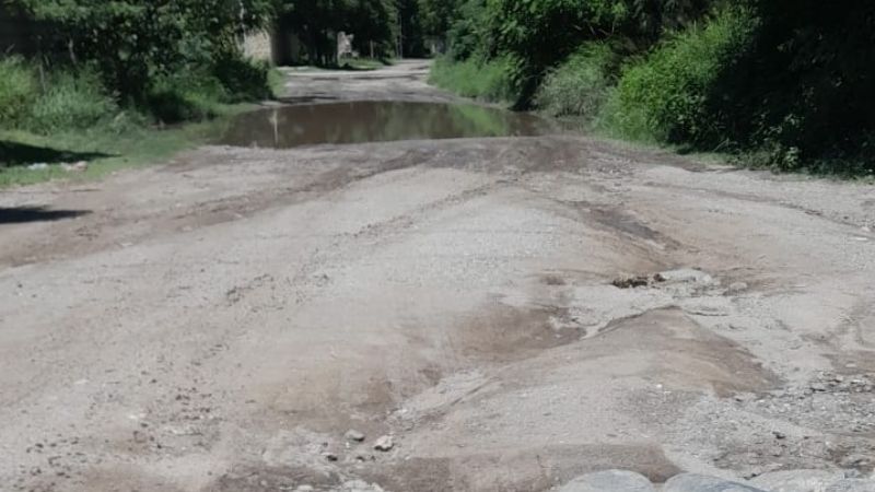 El “Paraíso del Dengue”, cada vez, con más "atractivos"