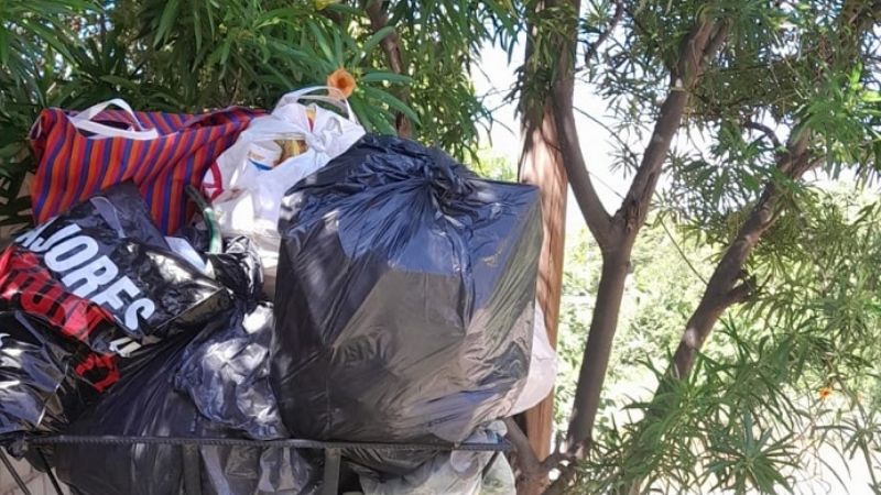 El “Paraíso del Dengue”, cada vez, con más "atractivos"