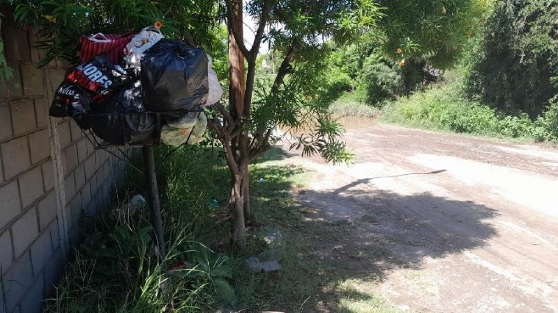 El “Paraíso del Dengue”, cada vez, con más "atractivos"