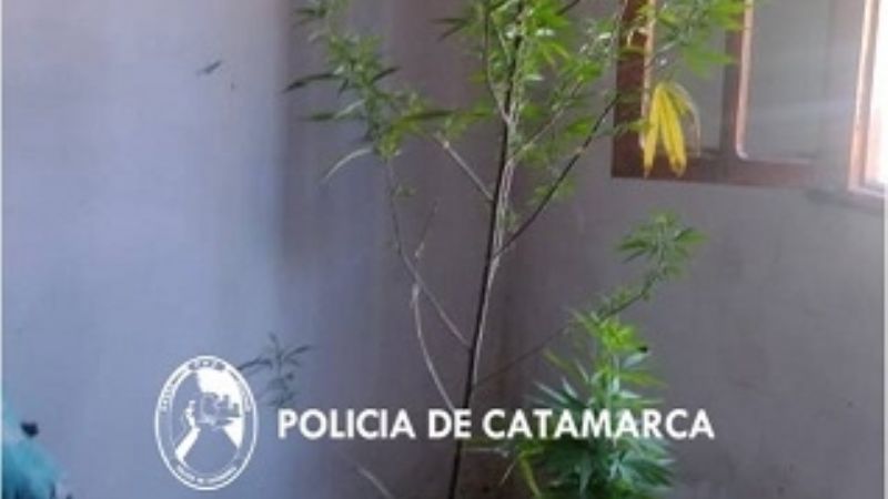 Tras un allanamiento secuestran droga en Andalgalá